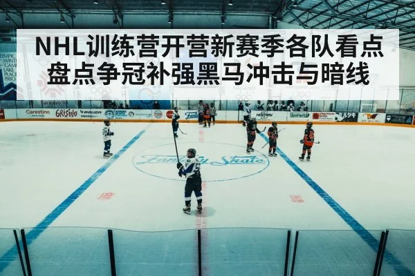 NHL训练营开营新赛季各队看点盘点争冠补强黑马冲击与暗线